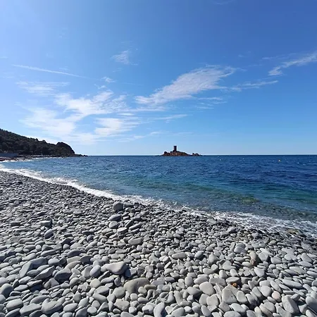 Les Sangliers By Interhome